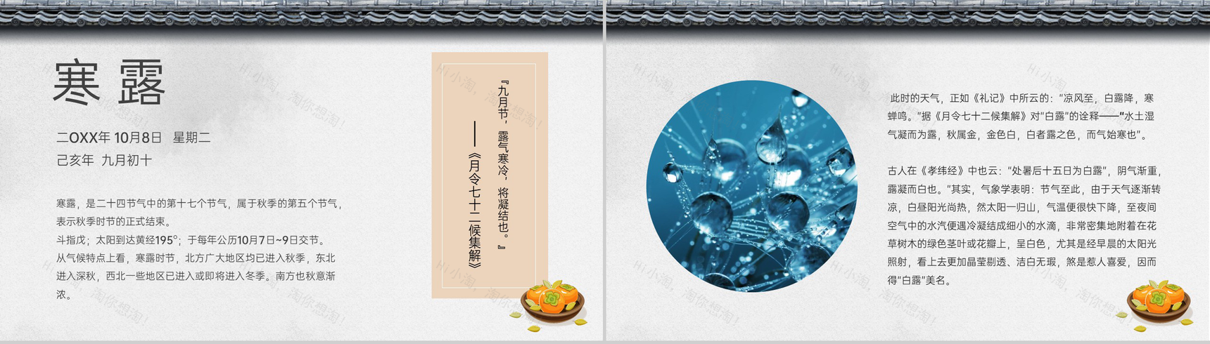 灰色简约中国风二十四节气介绍寒露习俗PPT模板-3