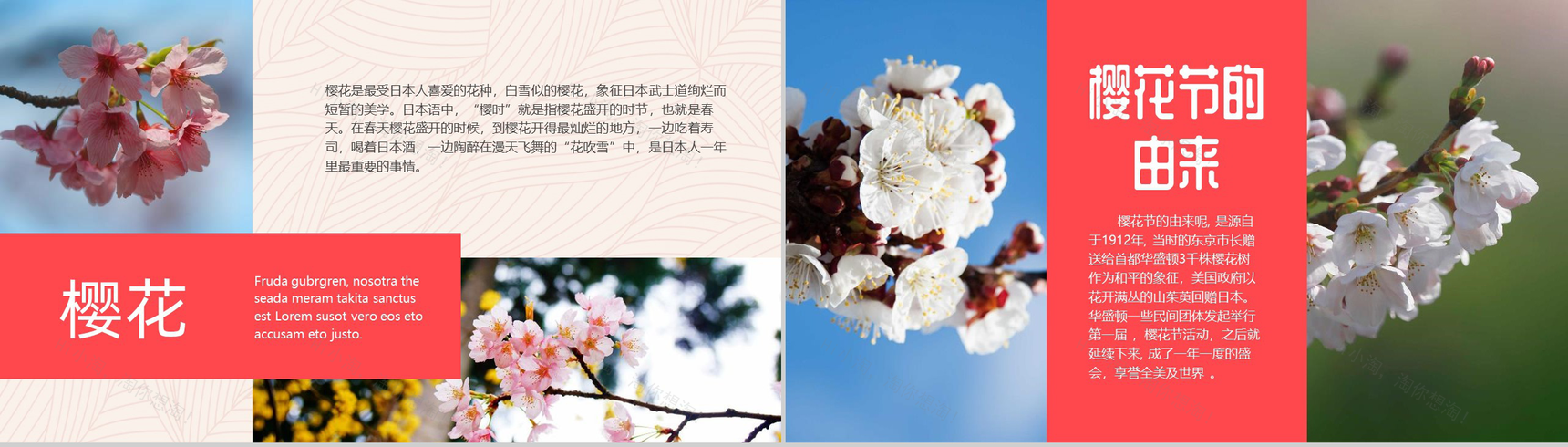 醉美樱花季春天旅游踏青PPT模板-4