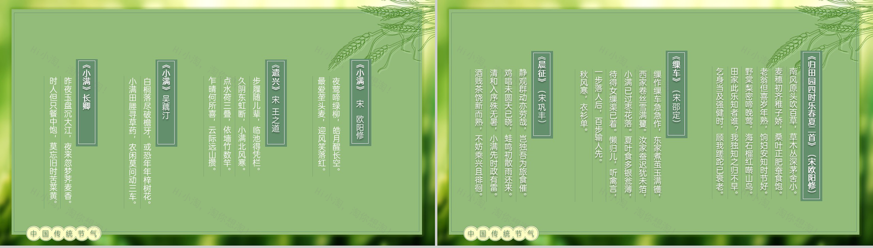 绿色自然风二十四节气小满由来习俗介绍PPT模板-9