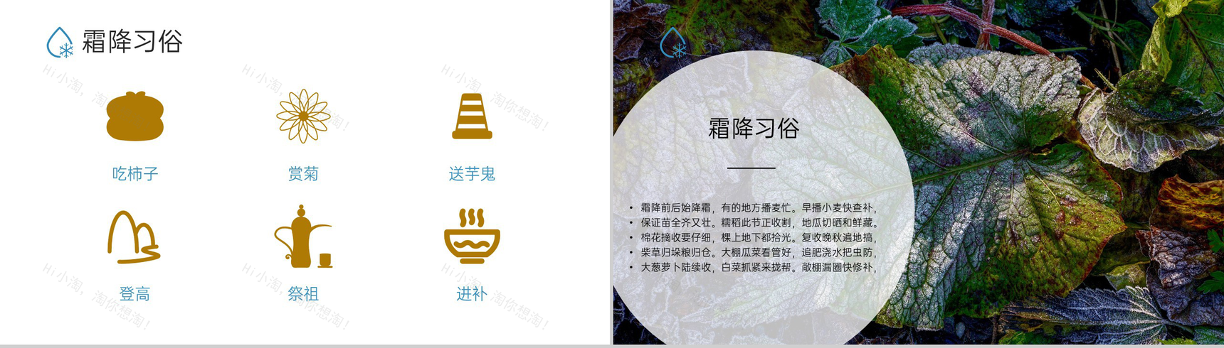 蓝色小清新风二十四节气霜降节气霜降的习俗PPT模板-8