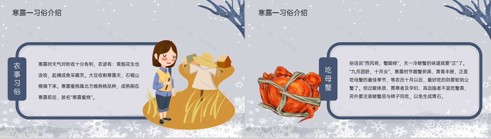 蓝灰渐变色传统节气之寒露的常识介绍PPT模板-9