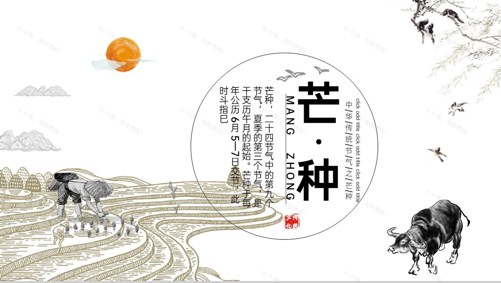 黑白手绘风二十四节气芒种主题宣传介绍PPT模板-1