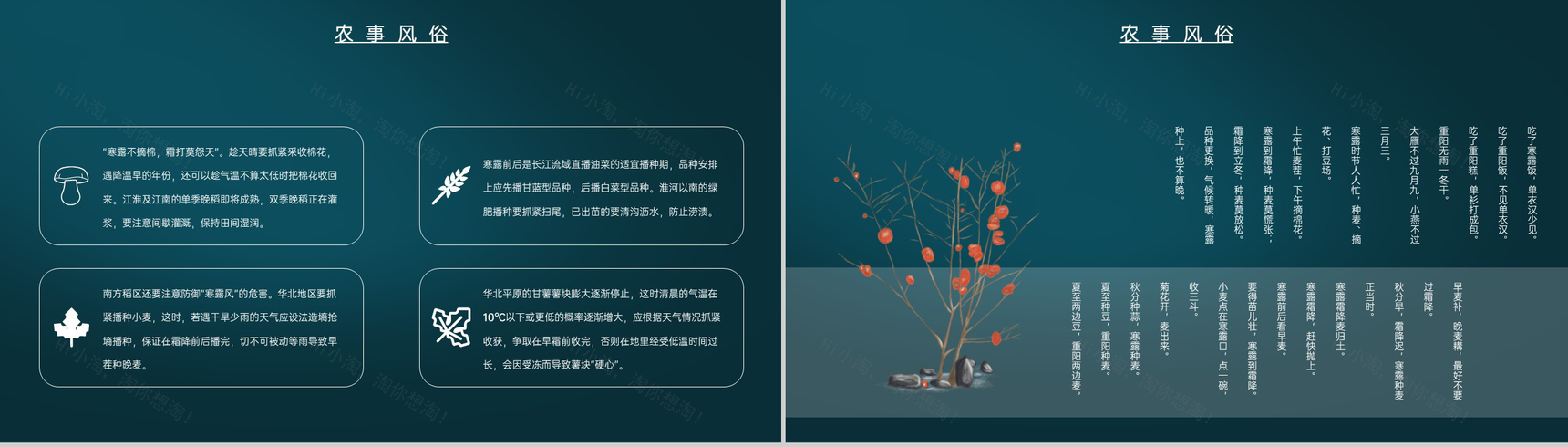 蓝色中国风传统节气介绍之寒露的物候特征PPT模板-9
