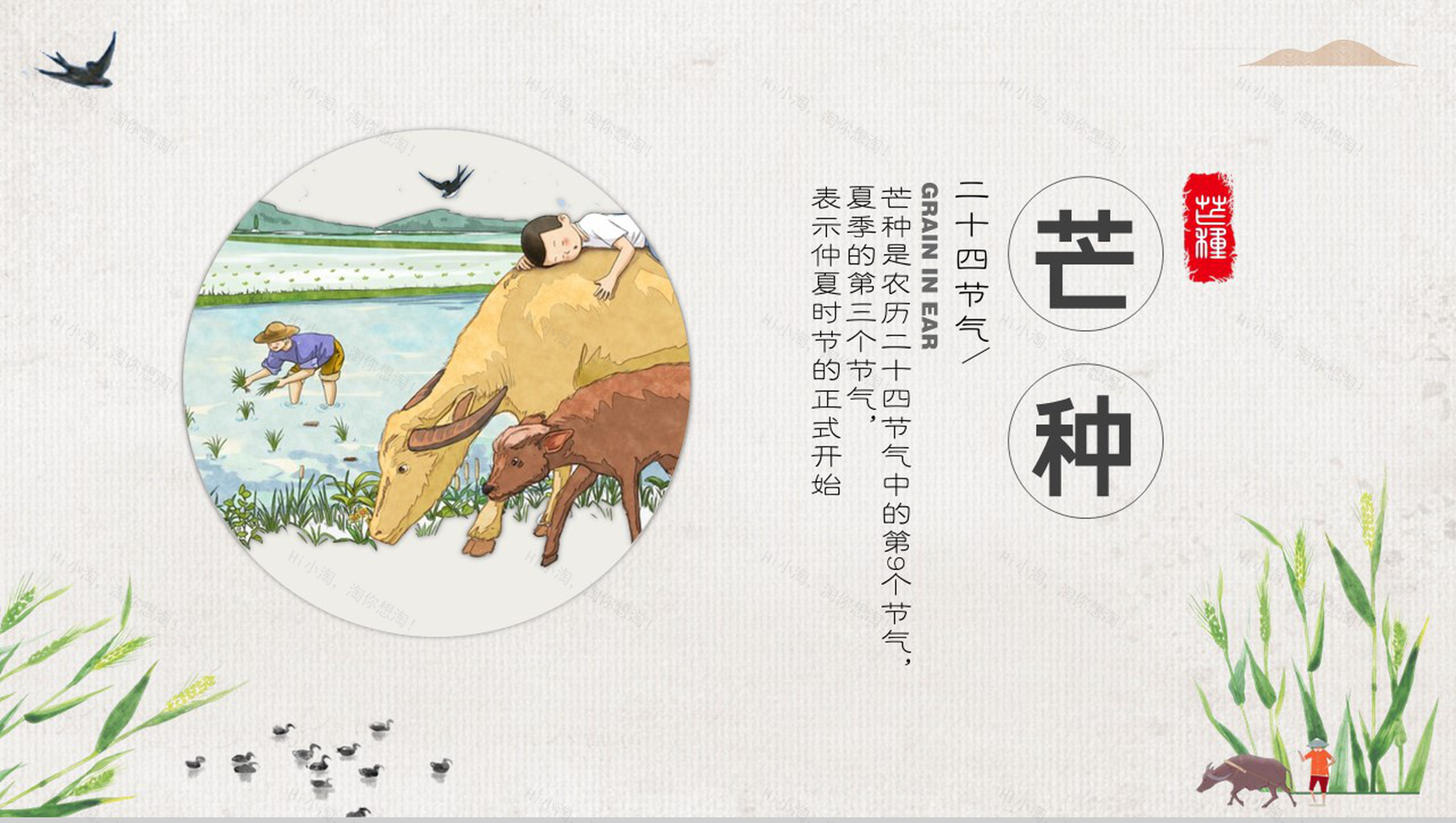 灰绿中国风传统二十四节气芒种主题汇报总结PPT模板-1