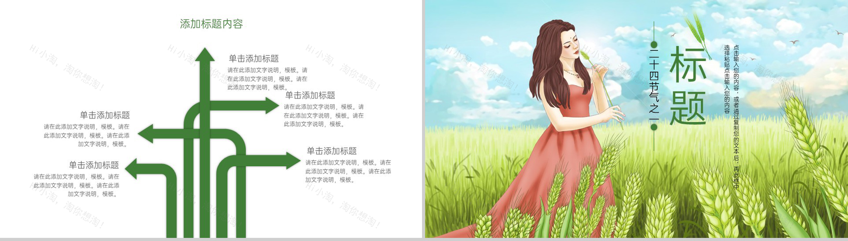 绿色手绘风二十四节气小满节气介绍总结PPT模板-9