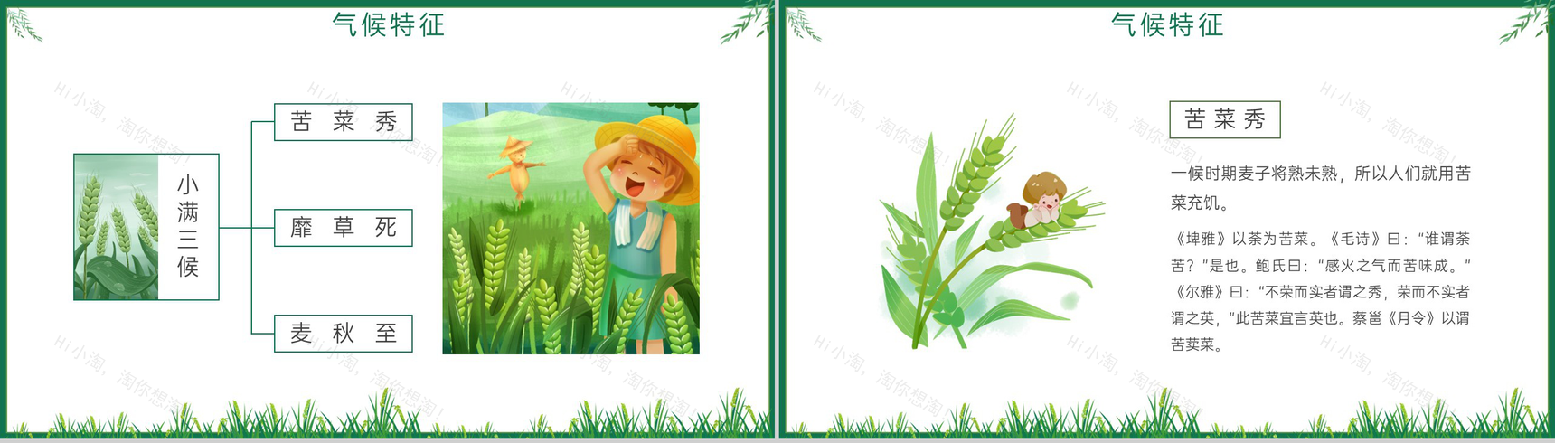 绿色简约风小满麦粒渐满二十四节气小满介绍PPT模板-5