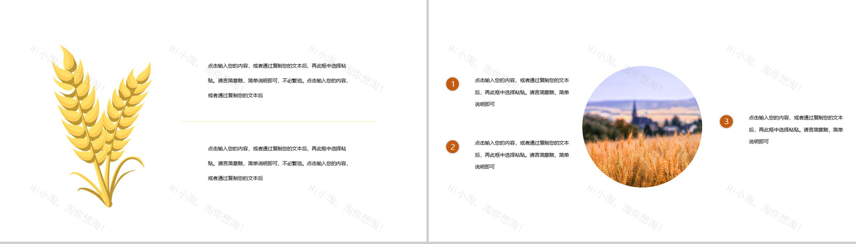 中国传统习俗芒种由来介绍PPT模板-9