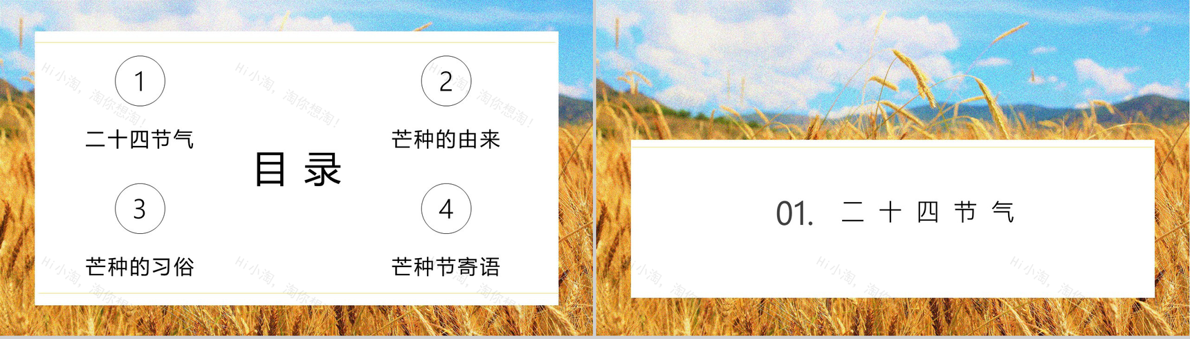 黄色清新节气之芒种习俗由来介绍PPT模板-2