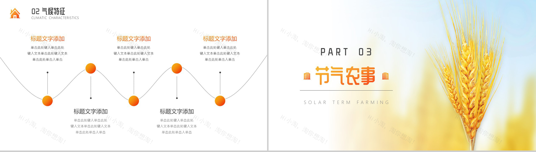关于中国二十四节气之芒种节日的介绍PPT模板-6