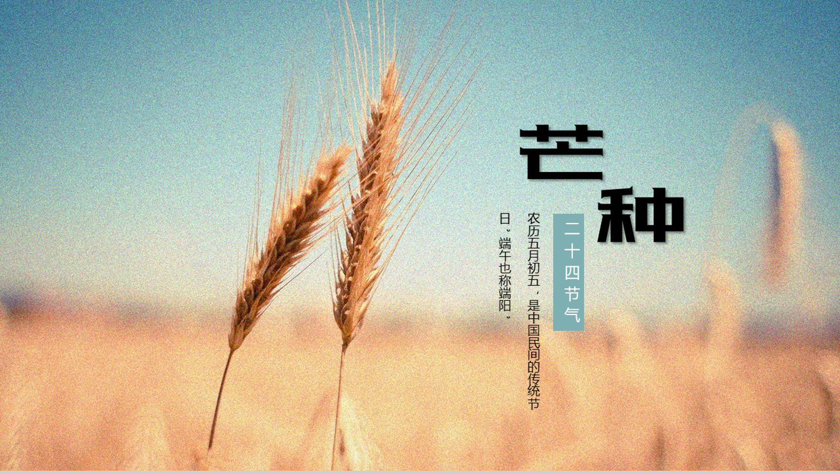传统二十四节气之芒种PPT模板