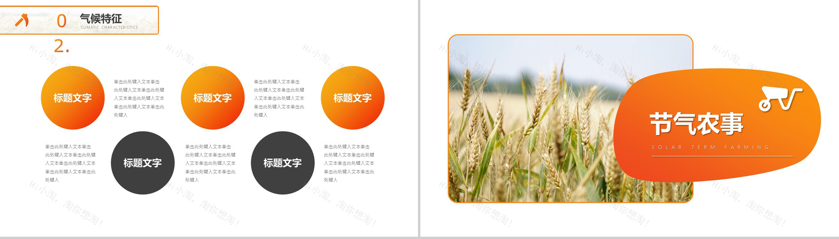 橙色简约中国二十节气芒种节日农忙时PPT模板-6