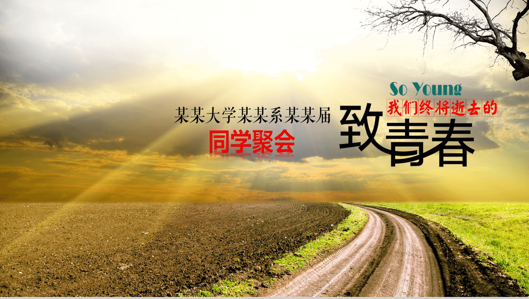 大气创意致青春简约毕业同学聚会PPT模板