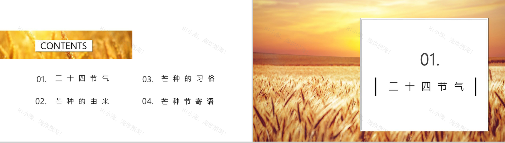 24节气芒种习俗由来介绍PPT模板-2