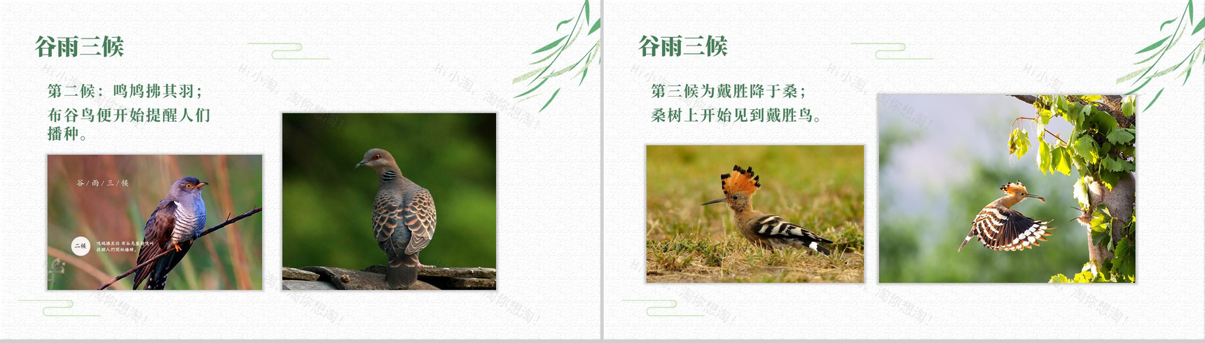 传承中华传统文化二十四节气之谷雨主题班会PPT-6