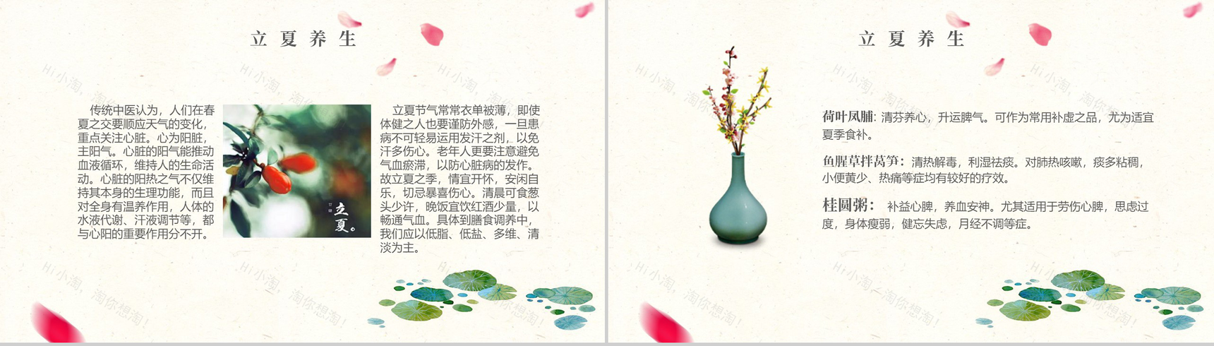 唯美简约小清新设计元素二十四节气立夏由来PPT模板-9