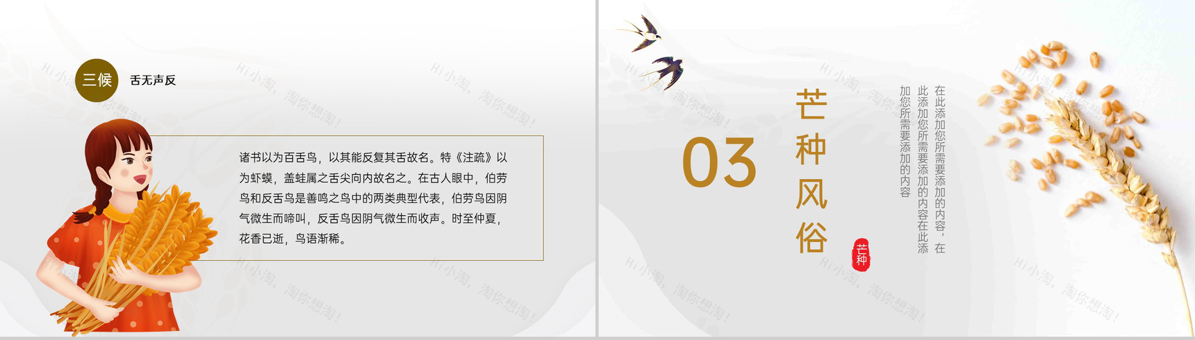 黄色中国风二十四节气之芒种文化与养生PPT模板-6