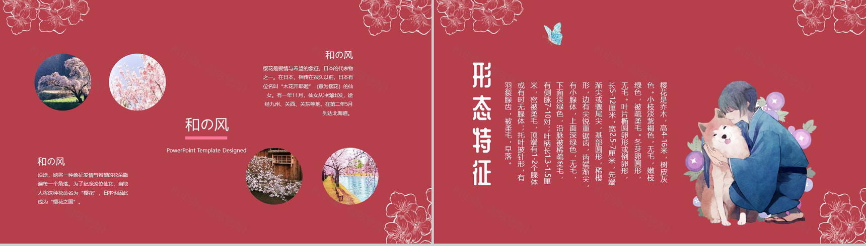 手绘风格醉美樱花PPT模板-4