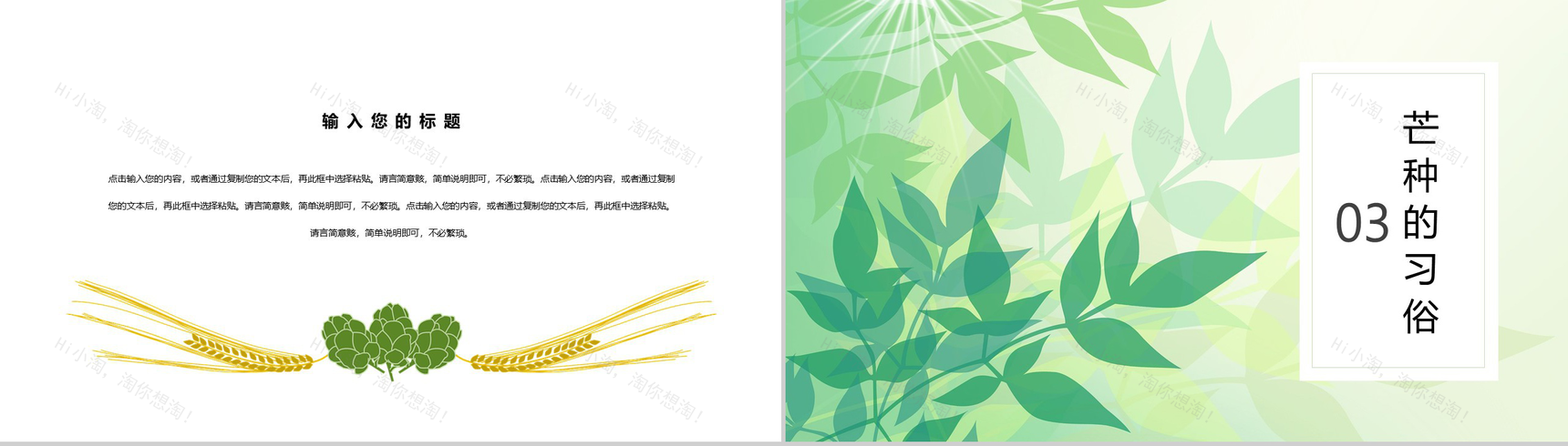 小清新芒种节气介绍PPT模板-6