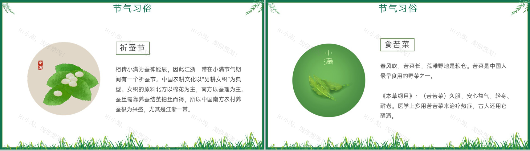 绿色简约风小满麦粒渐满二十四节气小满介绍PPT模板-8