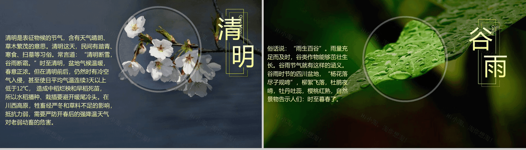 唯美大气商务二十四节气演讲介绍PPT模板-4
