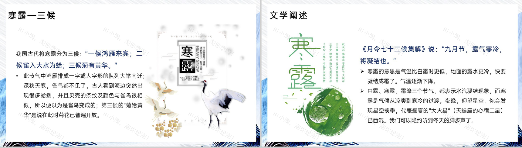 淡蓝水墨风寒露节气介绍寒露的习俗PPT模板-5