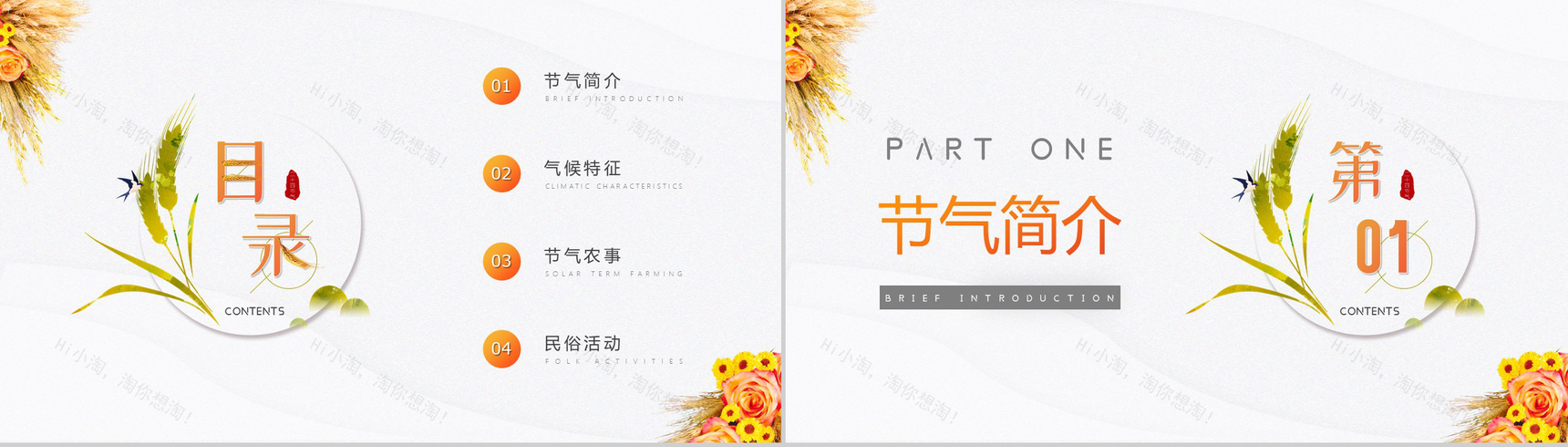 白色简约风格中国传统二十四节气芒种简介PPT模板-2