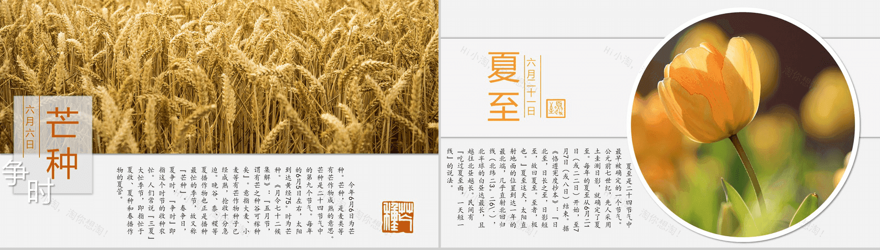 简约中国风动态二十四节气介绍PPT模板-6