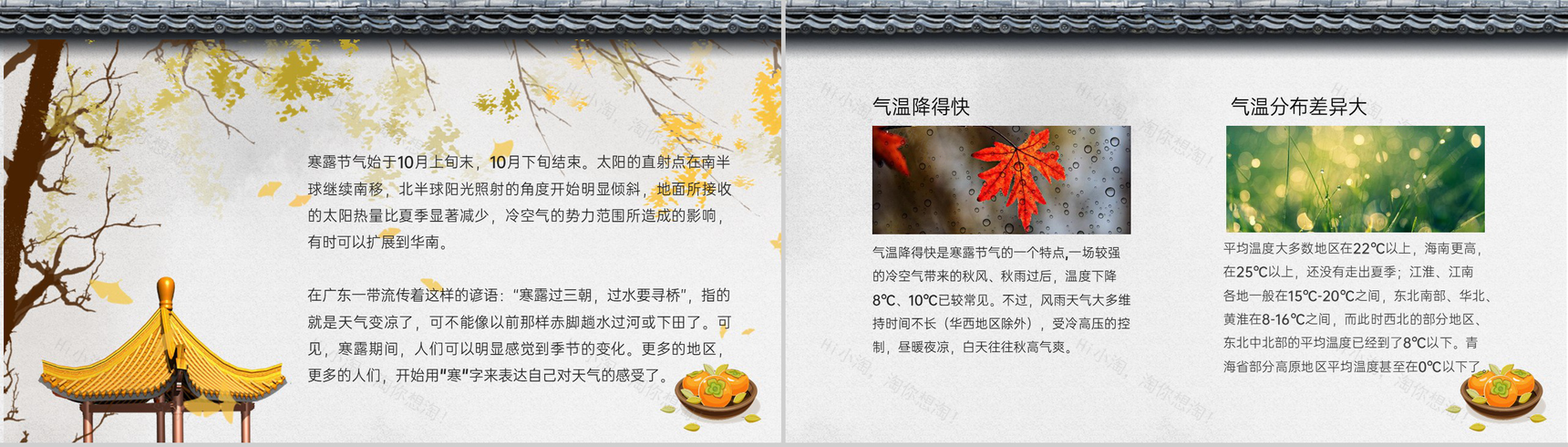灰色简约中国风二十四节气介绍寒露习俗PPT模板-5