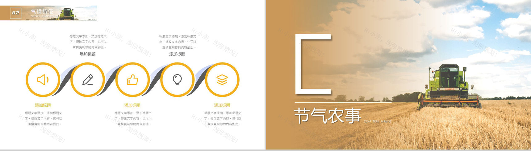 简约风格传统二十四节气芒种介绍PPT模板-6