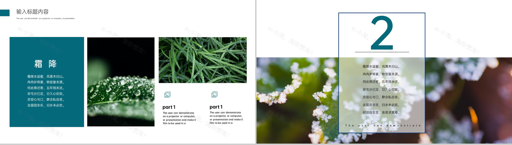 绿色小清新二十四节气霜降主题活动宣传PPT模板-4