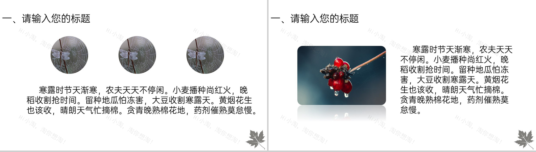 灰色简约风传统节气寒露主题工作汇报总结PPT模板-3