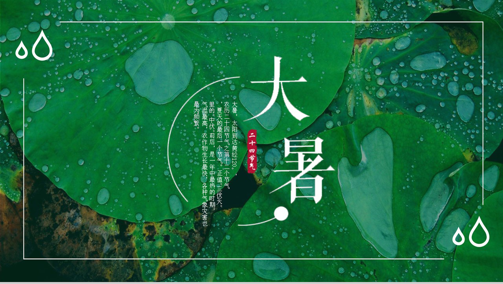 绿色荷叶大暑节气PPT模板