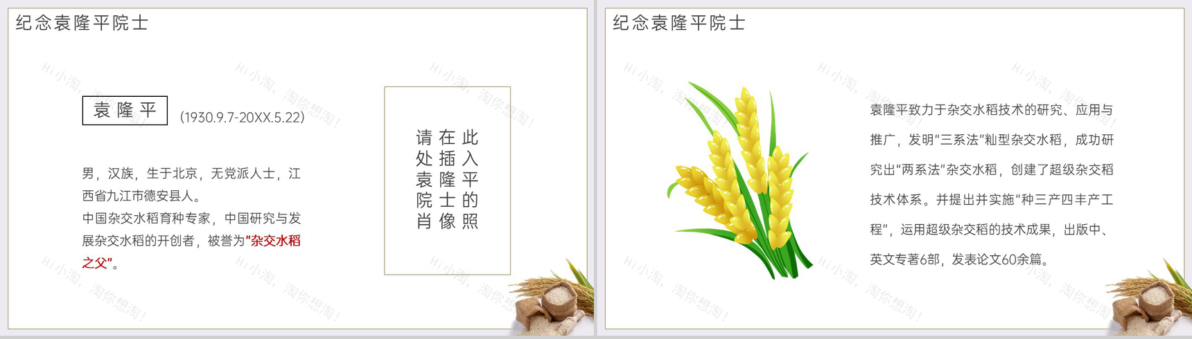 白色简约节约粮食从我做起世界粮食日主题策划PPT模板-8