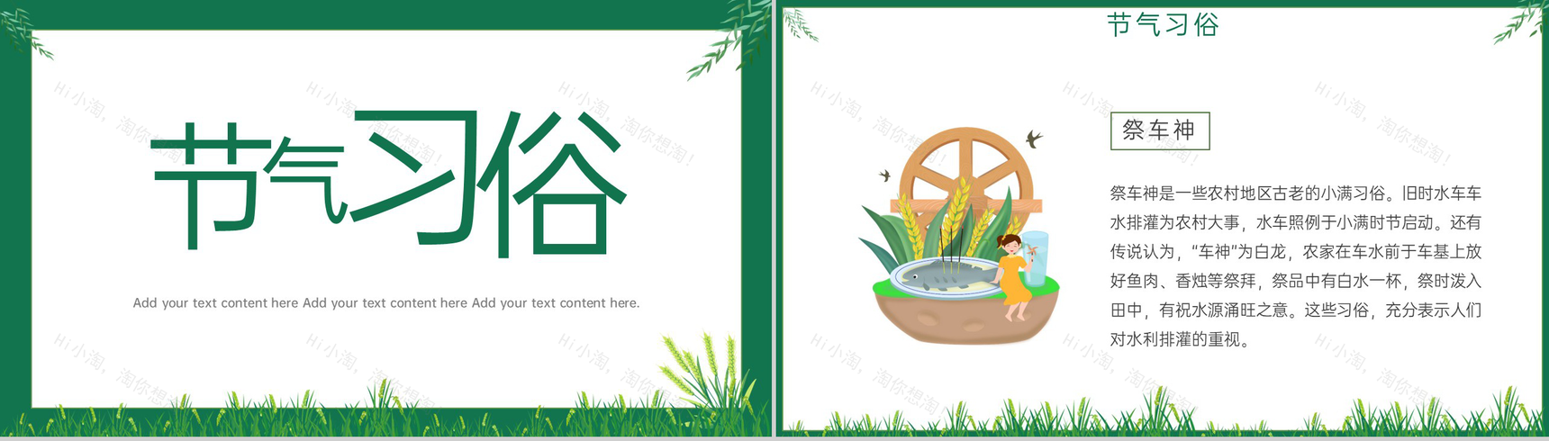 绿色简约风小满麦粒渐满二十四节气小满介绍PPT模板-7