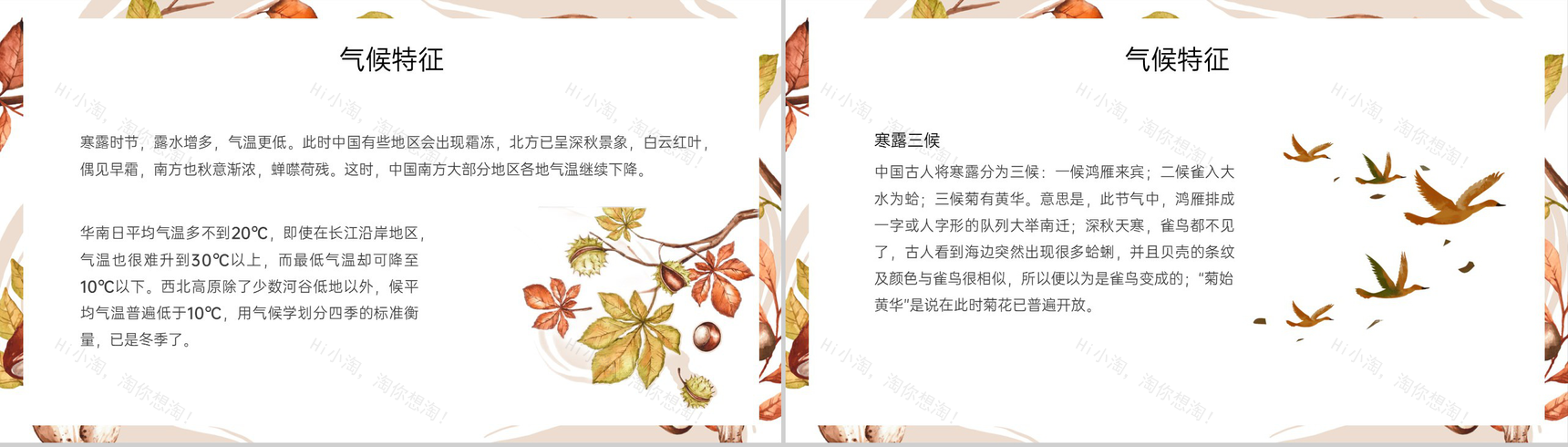 浅橙小清新二十四节气寒露节气起源PPT模板-6
