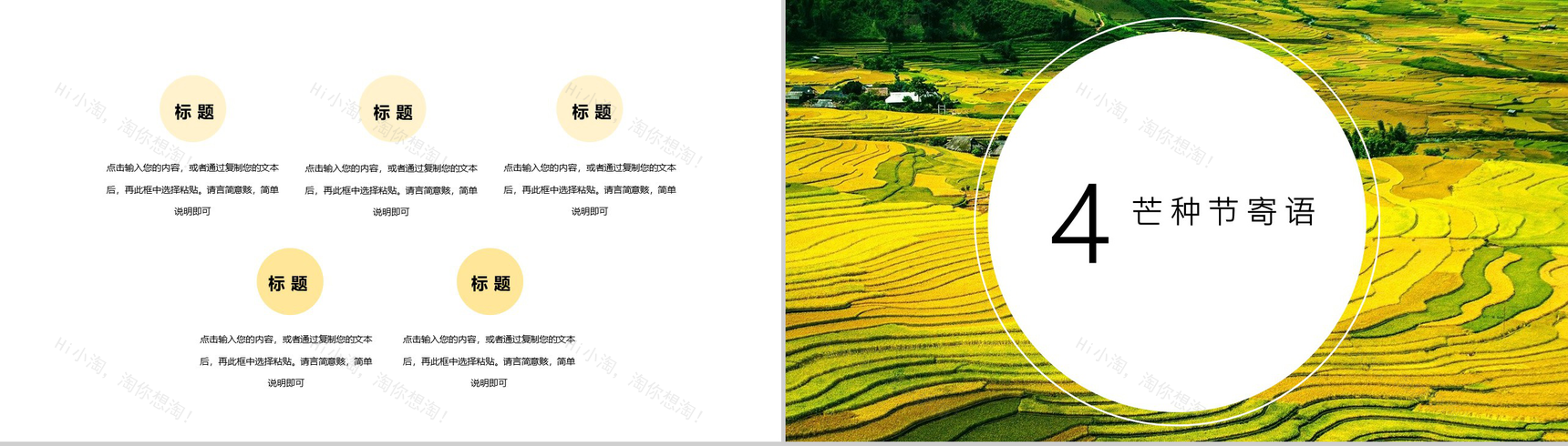 二十四节气芒种主题活动介绍PPT模板-8