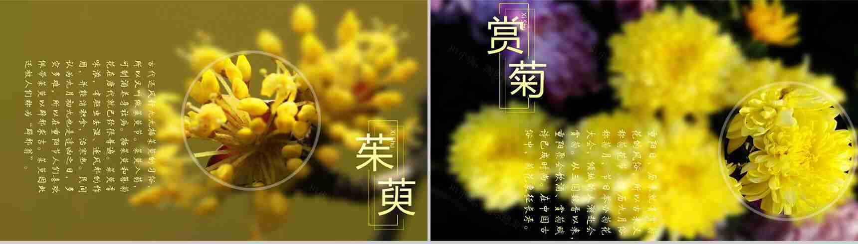 重阳佳节复古思亲PPT模板-6