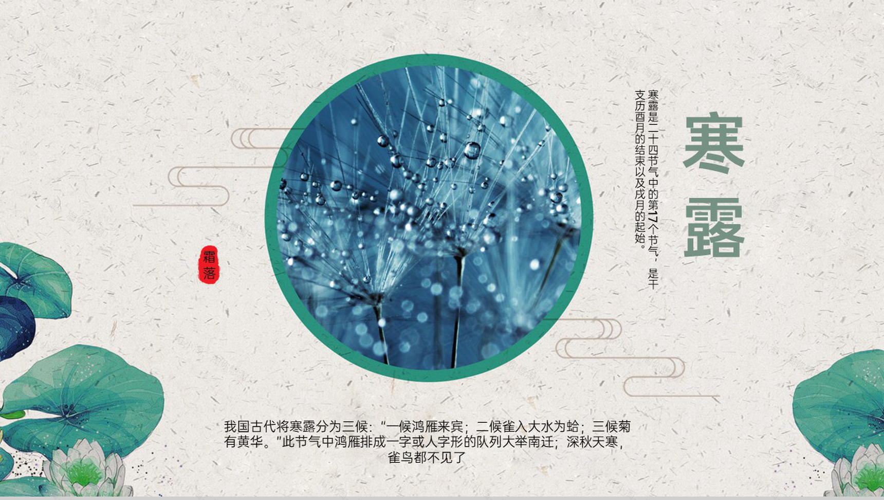 绿色文艺小清新风二十四节气寒露主题工作汇报总结PPT模板-1