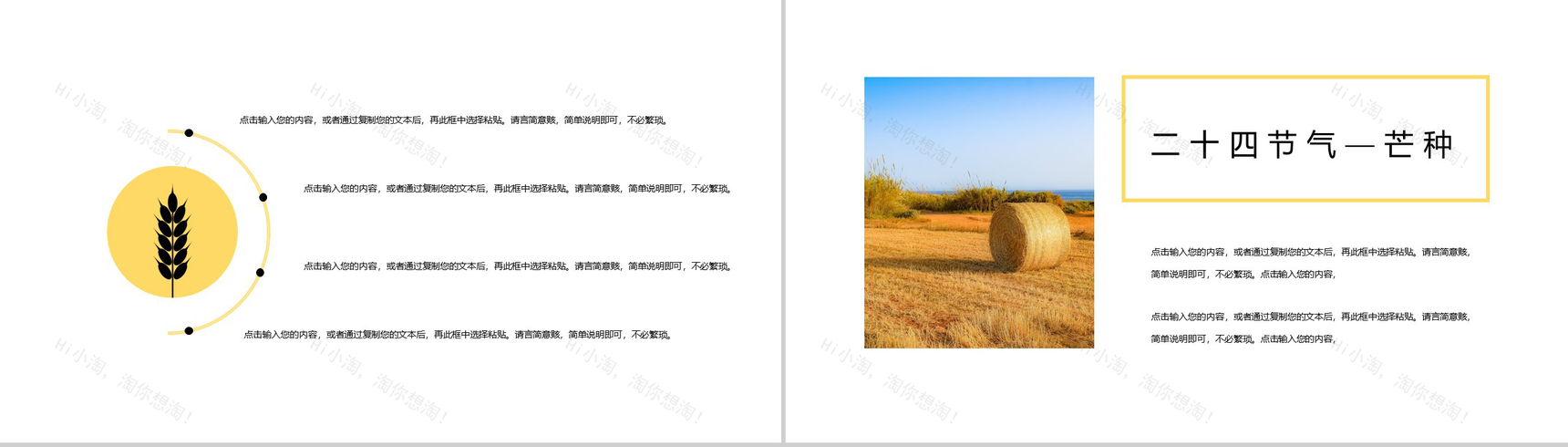 二十四节气芒种主题活动介绍PPT模板-3