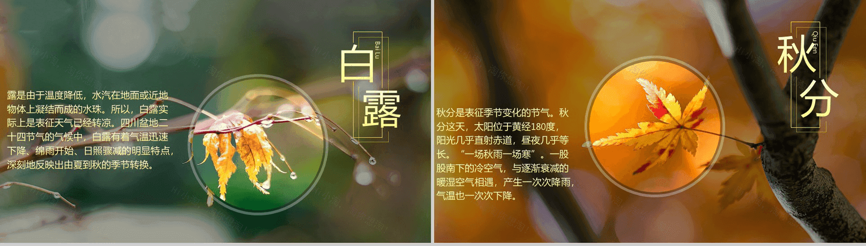 唯美大气商务二十四节气演讲介绍PPT模板-9