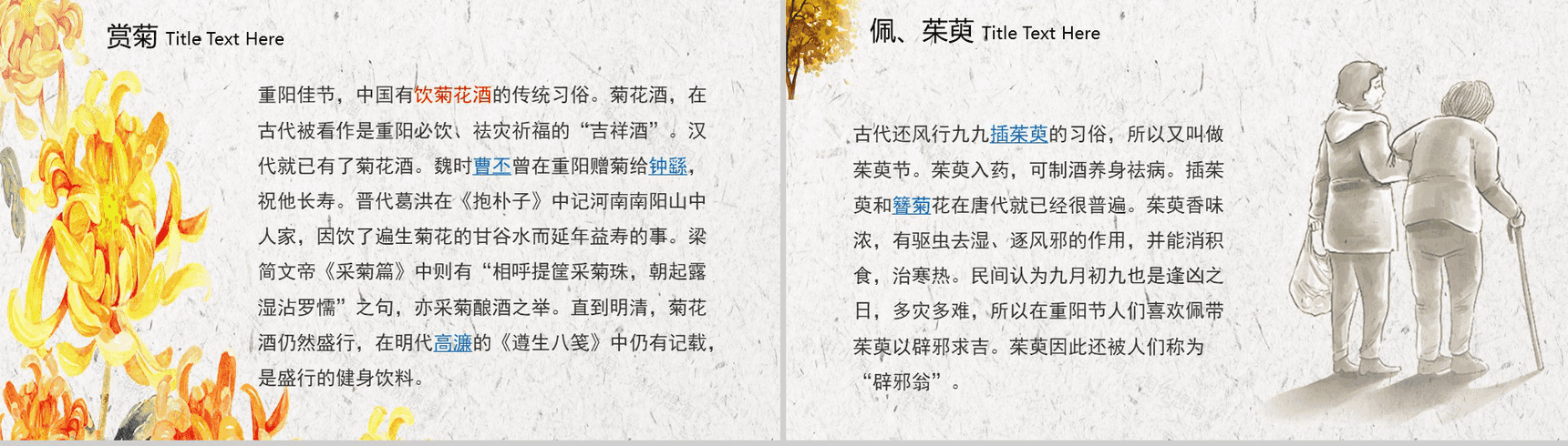 简约中国传统文化重阳节节日介绍PPT模板-6