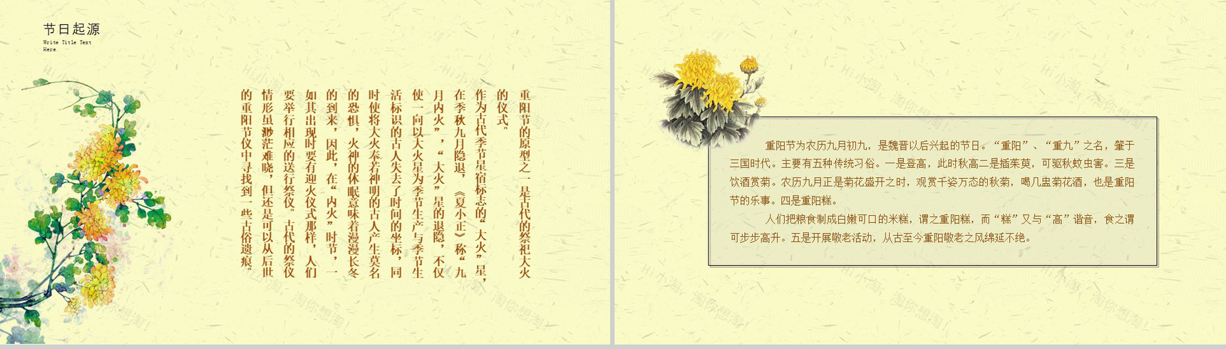 清新淡雅简约重阳节老年节活动策划方案PPT模板-7