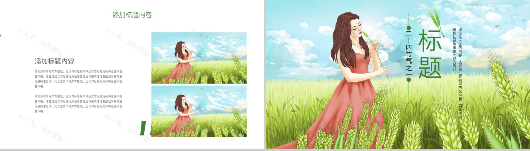 绿色手绘风二十四节气小满节气介绍总结PPT模板-5