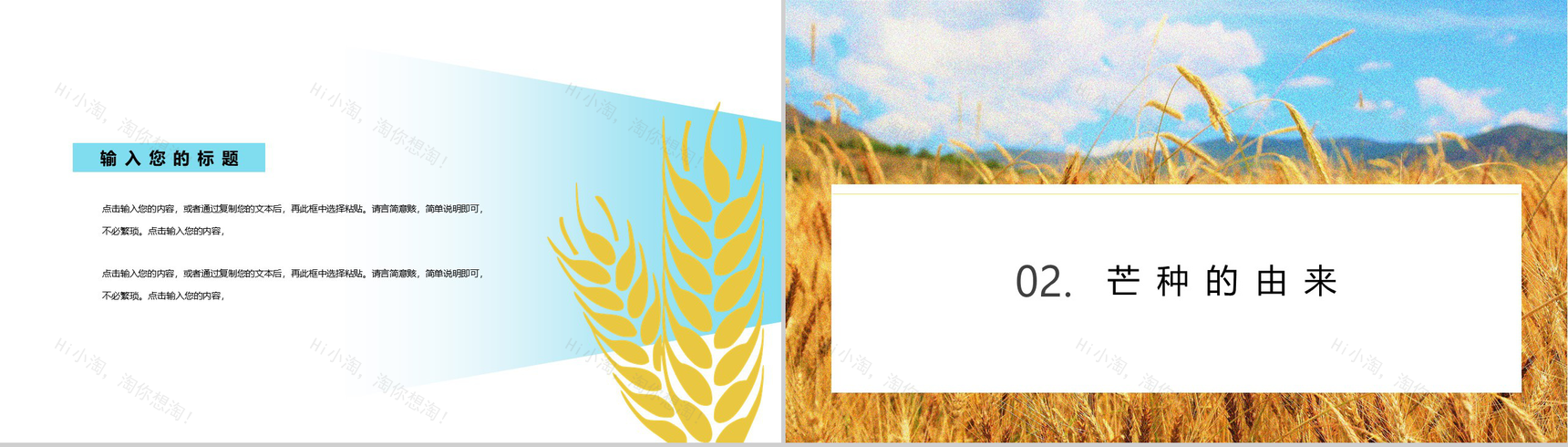 黄色清新节气之芒种习俗由来介绍PPT模板-4