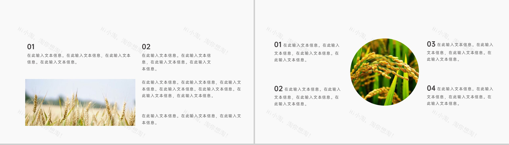 金色稻香风二十四节气小满由来背景介绍PPT模板-4