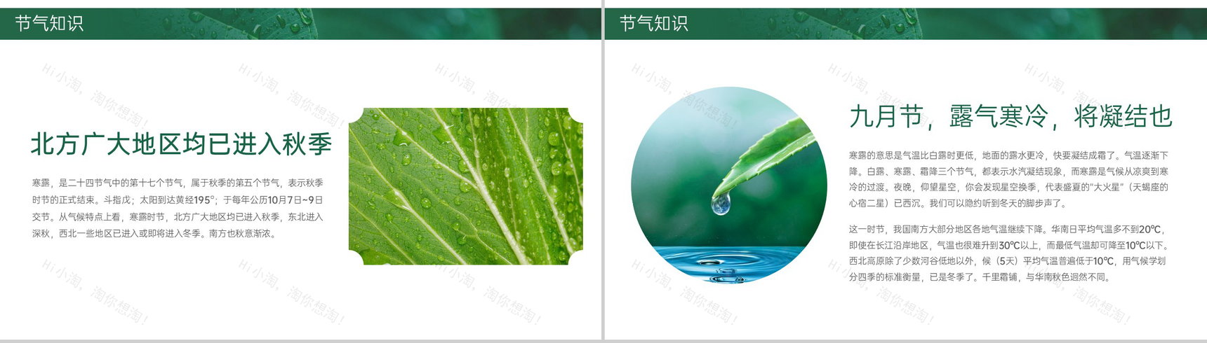 绿色简约小清新风二十四节气介绍之寒露的由来PPT模板-3