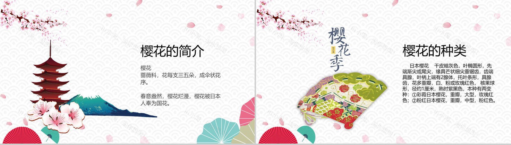 白色简约复古风樱花知识介绍PPT课件-2