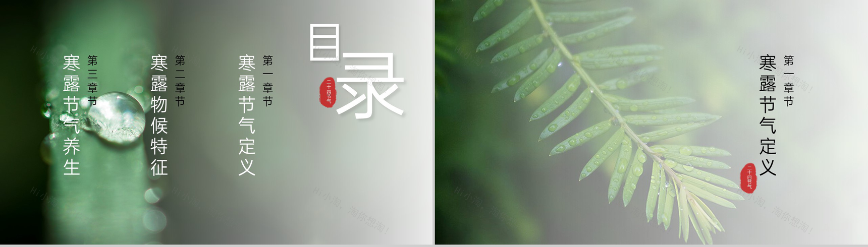 绿色简约二十四节气寒露公开课教学主题班会介绍PPT模板-2