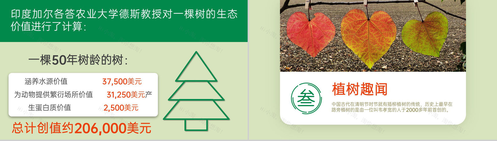 绿色自然系植树节主题活动公益宣传教育PPT模板-6