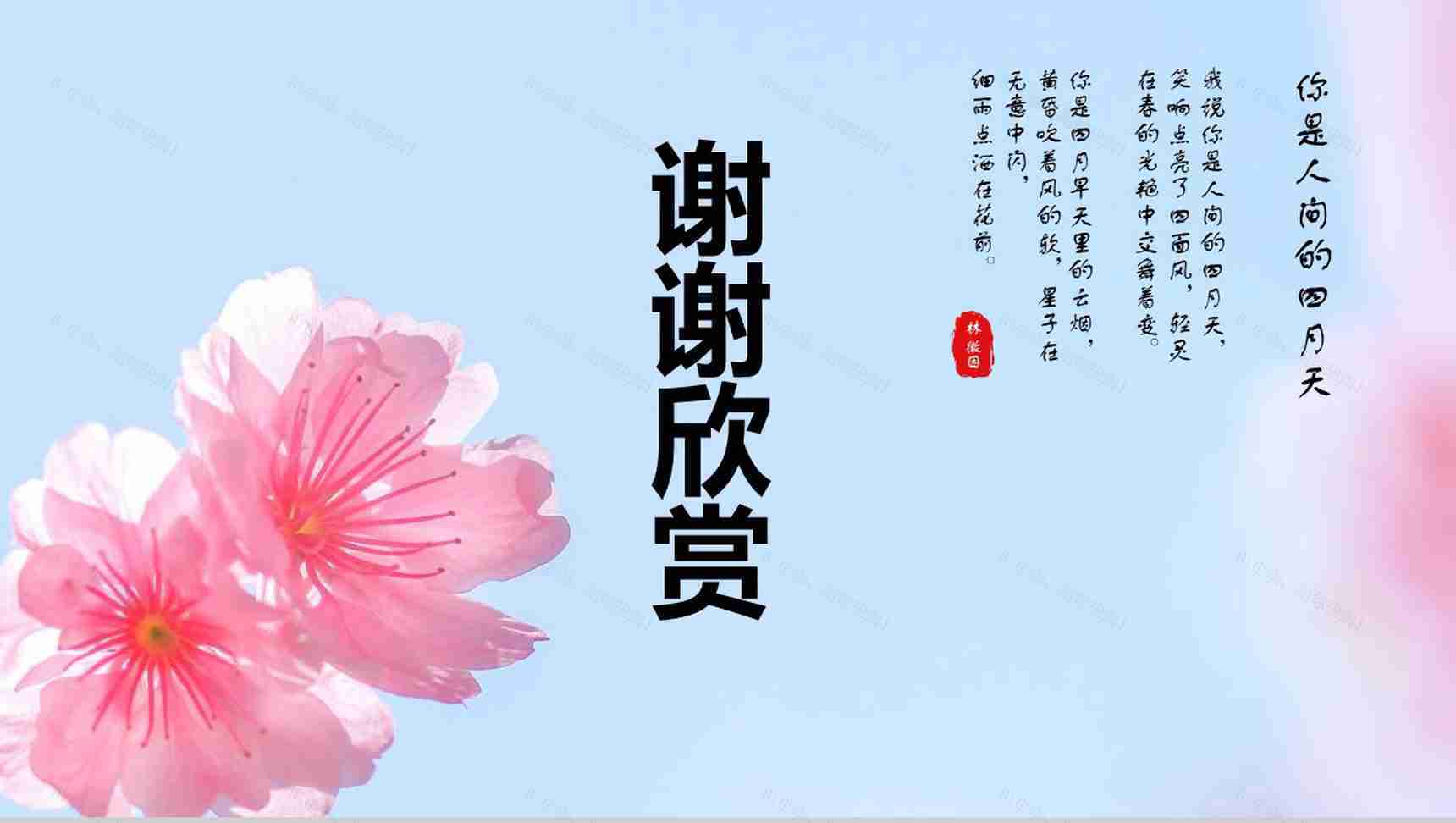 你是人间的四月天樱花季旅游策划PPT模板-13